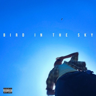 Bird in the Sky