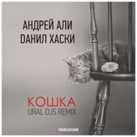 Кошка - Single - Андрей Али & Данил Хаски