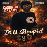 Is U Stoopid - Single - Kashmere Dreams
