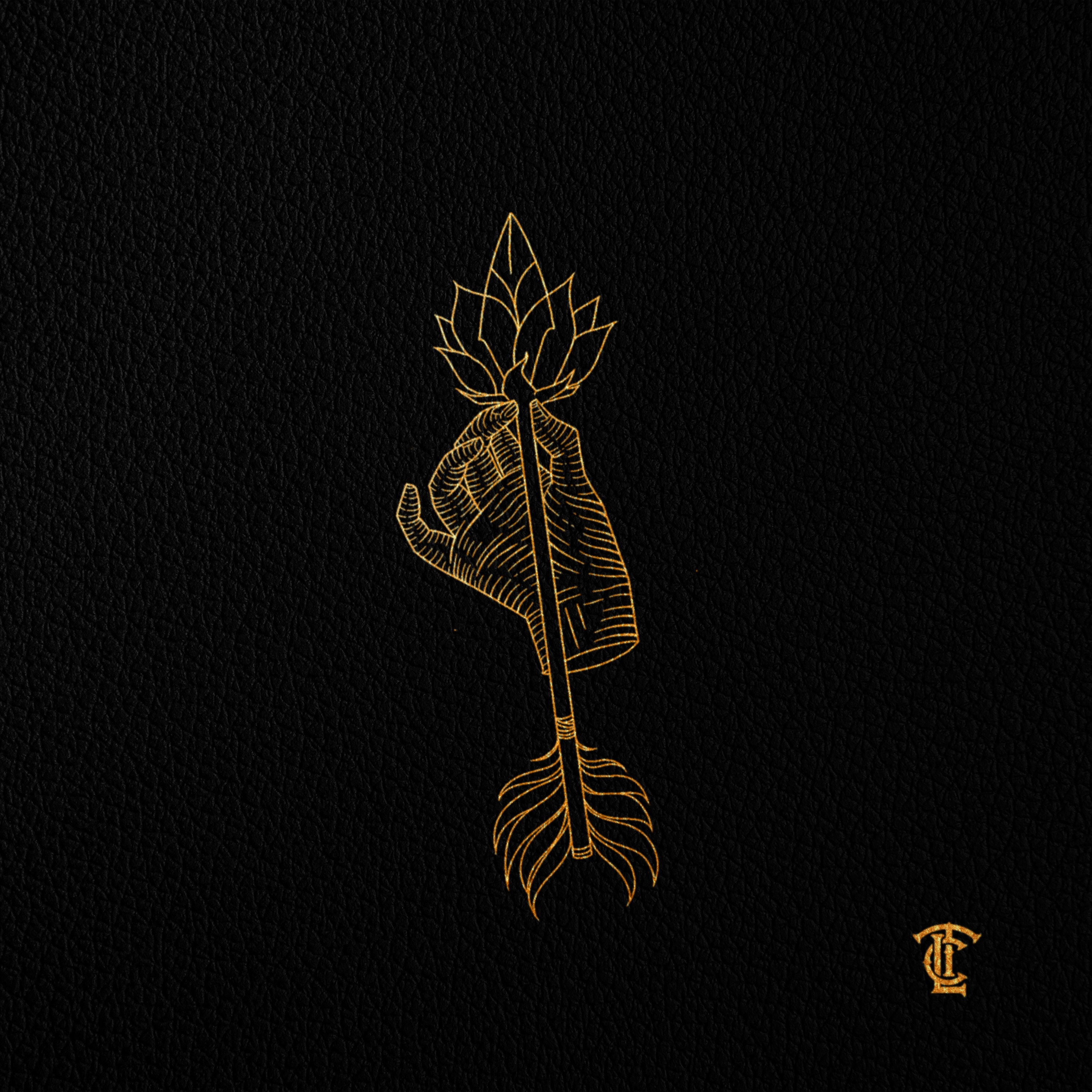 La Regla de Oro - Single