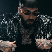 Gata Ganster Anuel Aa Beat - Single - Yoswill Roldan