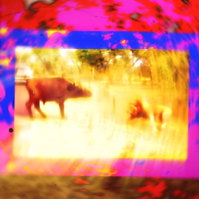 Sung Hatonn - EVil/WAR: Ammunition Vending Machine