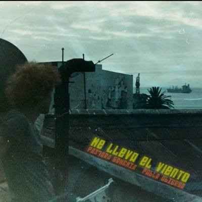 Me Lleva el Viento - Single