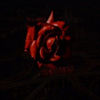 Без тебя - Single - ZaaRDi