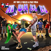 Ni un Ki Ki song art