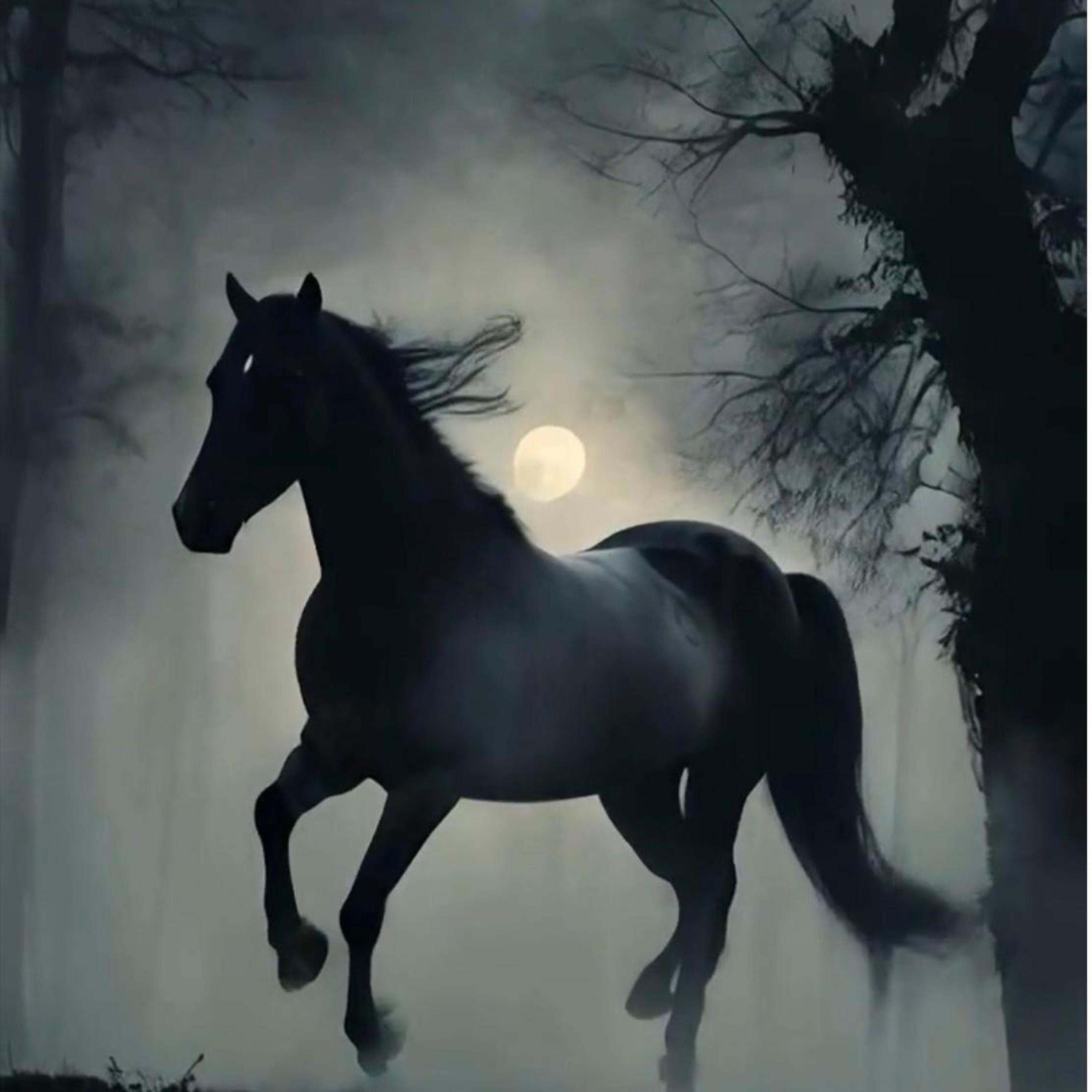 A Stubborn Heart - Single