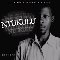 Ntukulu - Single - Croco Amin
