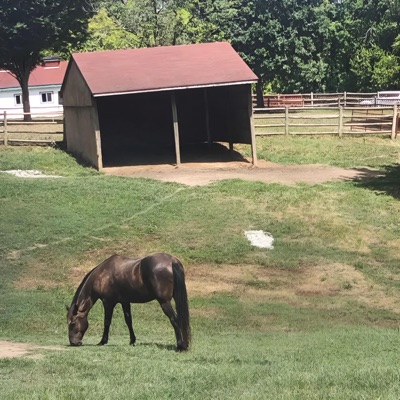 one way flight - Single