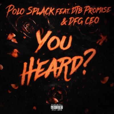 You Heard? (feat. DTB Promise & Dfg Ceo) - Single
