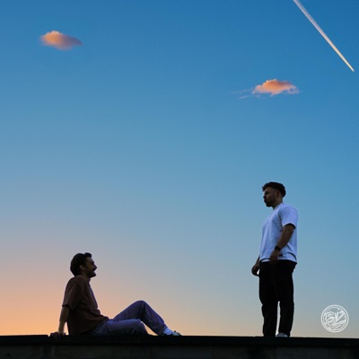 MY SOUL NEEDS LOVE (feat. lil herb & b3n3dikt) - Single