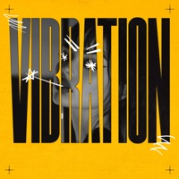Vibration - Single - PUNSH & McCartne