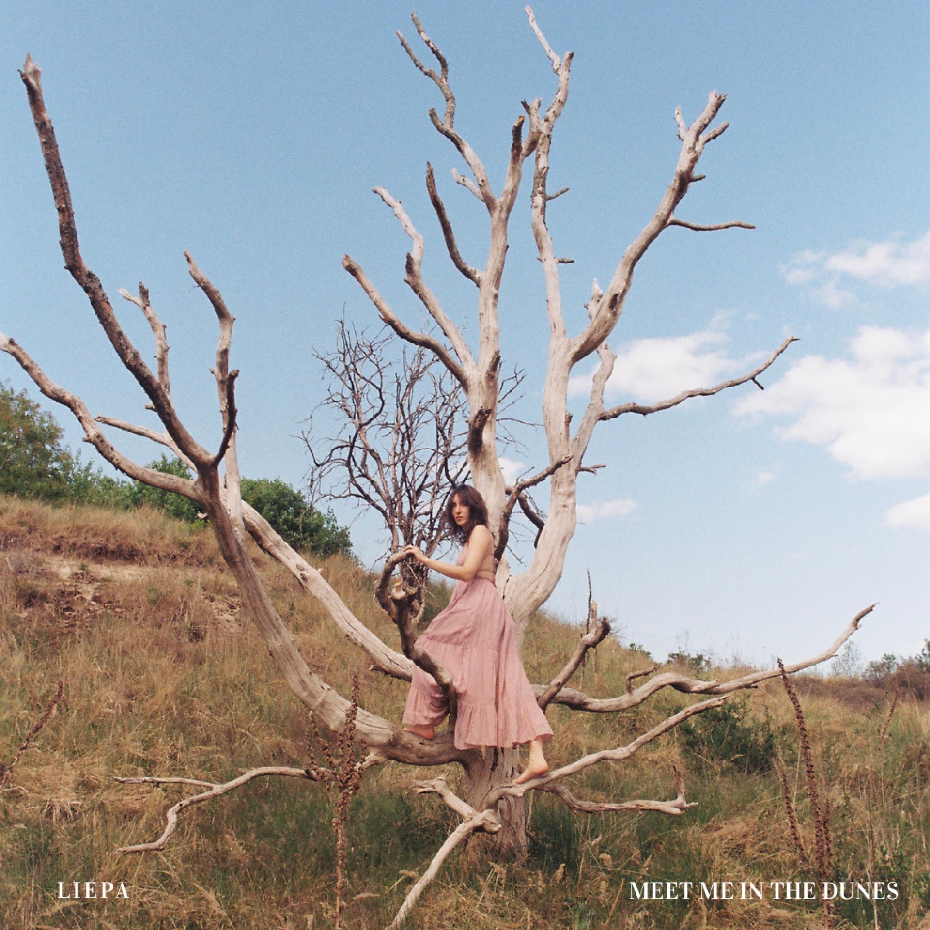 Meet Me In The Dunes