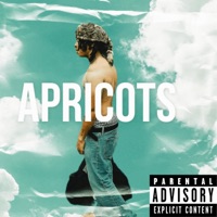 Apricots - Single - Ytobechi
