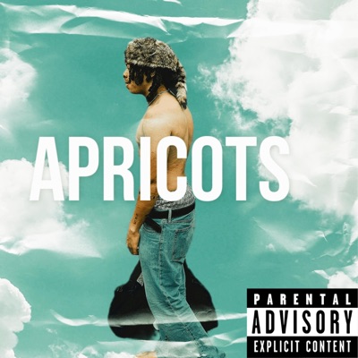 Apricots - Single