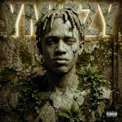 YMIZZY
