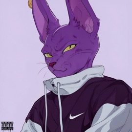 NO COMPETITION (feat. FEEZ) IFICATION