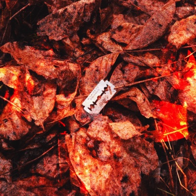 цинк - EP