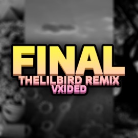 FINAL (thelilbird Remix) VXIDED
