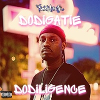 DODiLiGENCE - Dodigatie