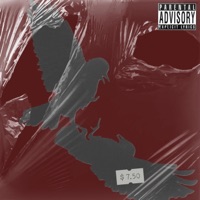 pearl! - Single - LENNY & viJERA