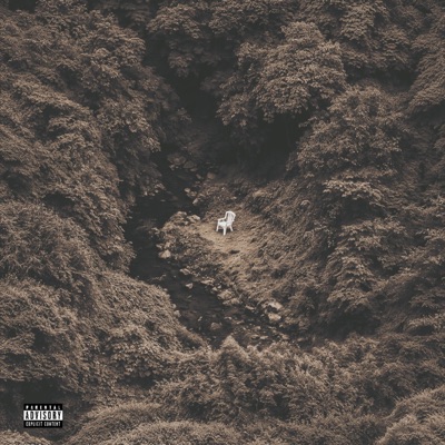 Came A Long Way - Single