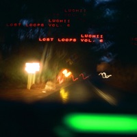 Lost Loops Vol. VI - Luchii