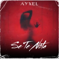Se Te Nota - Single - AYXEL