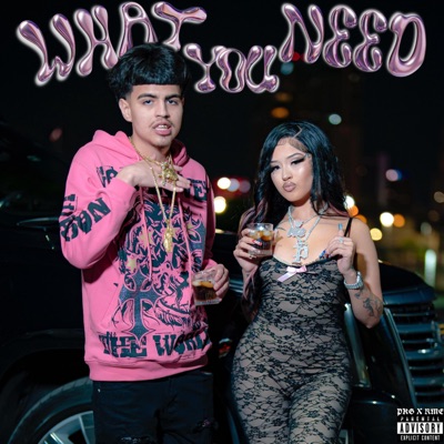What You Need (feat. P KILLA) - Single