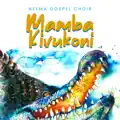 Mamba kivukoni