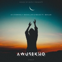 Awusekho (feat. Mdizo & Waylar) - Single - AV Starring & Madollar