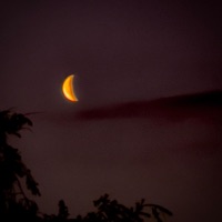 Lovoje (feat. Dmnk & Praba) - Single - Ankh