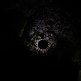 f****d up (feat. sendflowrs) lil nvmbr newports