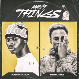 Many Things (flenjor) (feat. Young bee) Hadamtation