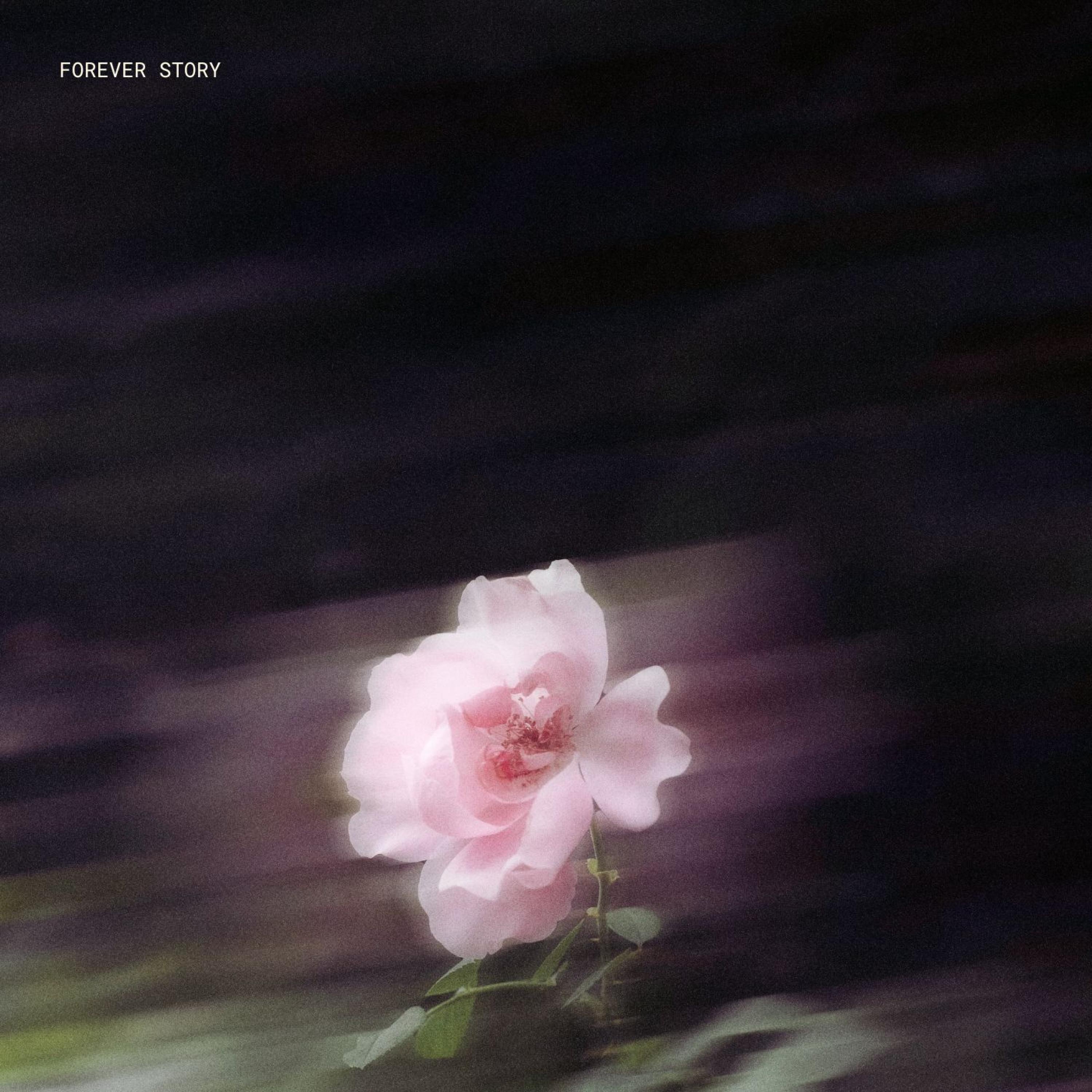 FYM Q - Forever Story