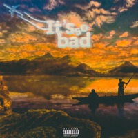 It's So Bad - Single - Dumbperson