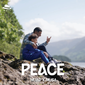 Peace (Vocals Only) (feat. Musa)