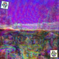 HIGHER THAN EVER - Rødi & kidd ghost