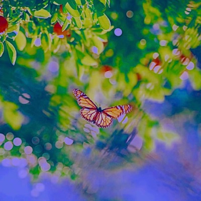 digital sugar - Single