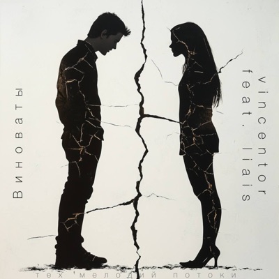 Виноваты - Single