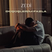 Düşüşlerim Fazla artwork