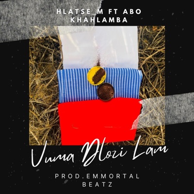 Vuma Dlozi Lam (feat. Abo Khahlamba & Emmortal Beatz) - Single