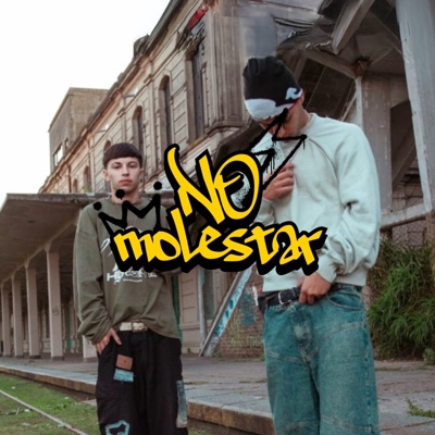 No Molestar - Single