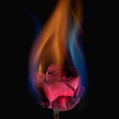 already in love :/ - Single