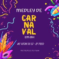 MEDLEY DE CARNAVAL EM BH - Single - MC VITIN DO SJ & LP. Prod