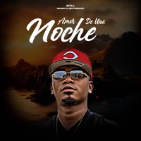 Amor De Una Noche (feat. Mauro El Que Produce) - Single - Jota L