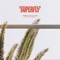 Superfly (feat. Paul Grant) - Kimmø & Rudy Raw lyrics