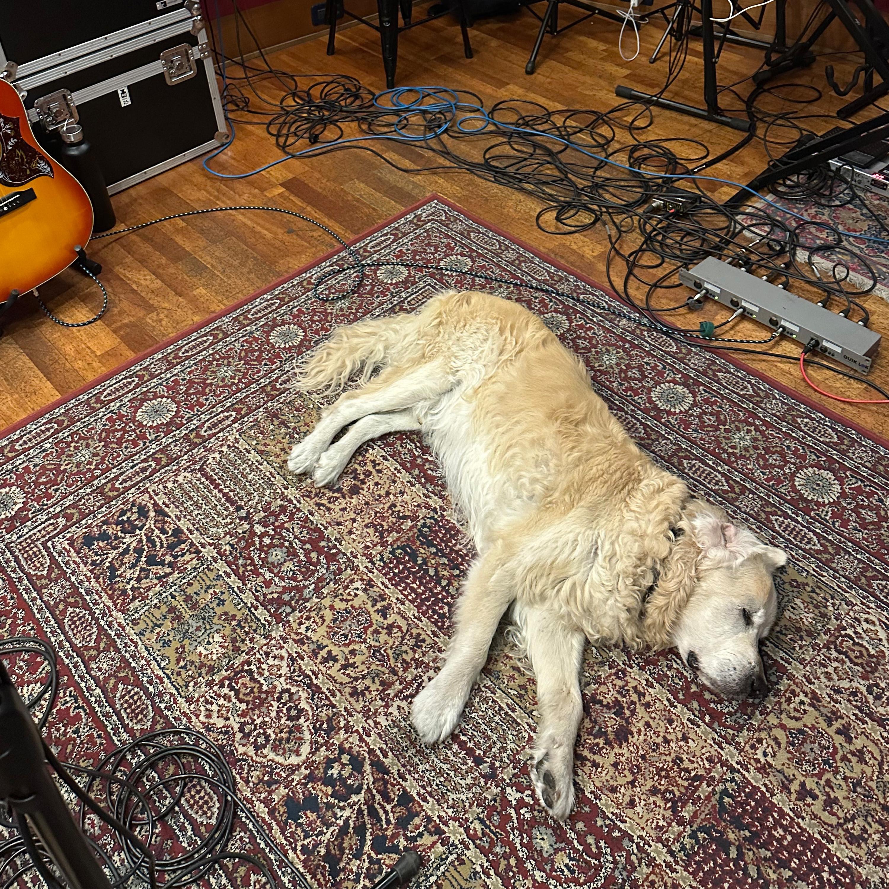 Odd Socks - Tired of Being Tired