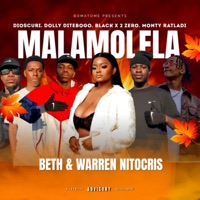 Malamolela (feat. Beth, Dioscuri, Black x 2 Zero, Dolly Ditebogo & Monty Ratladi) - Single - Warren Nitocris