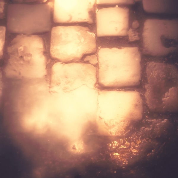 All That The Light Could Not Hold