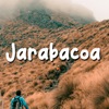 Jarabacoa - Single